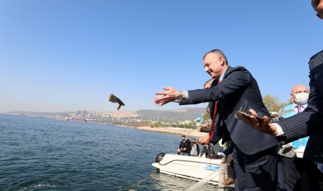 İzmit Körfezine 5 bin balık daha salınacak