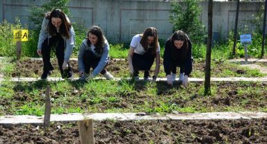 Kocaeli'de lise öğrencileri kendi sebze ve meyvesini üretiyor