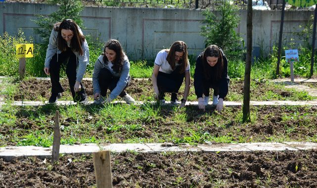 Kocaeli'de lise öğrencileri kendi sebze ve meyvesini üretiyor