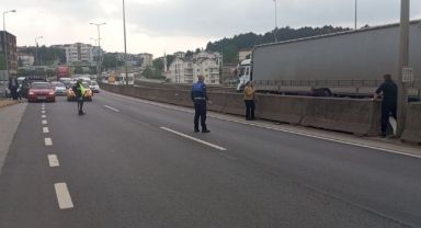 Beton bariyerlere sıkışan kedi için trafiği durdurdular