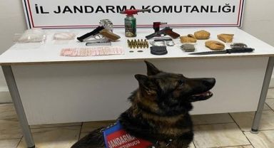 Jandarma'dan uyuşturucu operasyonu