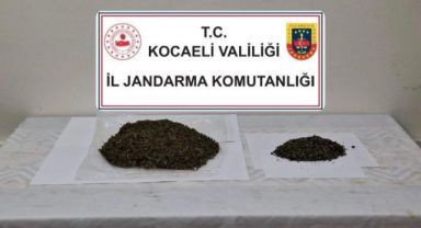 Kocaeli'de jandarmadan uyuşturucu operasyonu