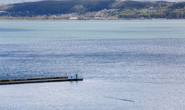 Sapanca Gölü'nden sevindiren haber