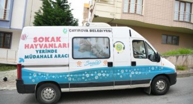 Sokak hayvanlarına yerinde müdahale