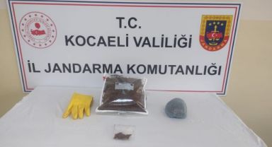 Şüphelinin evinde yapılan operasyonda bonzai ele geçirildi
