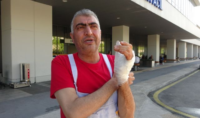 281 kişi kurbanlık keserken yaralandı