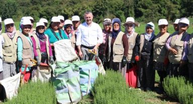 Büyükşehir’den kooperatiflere yüzde 75 hibeli tarım desteği