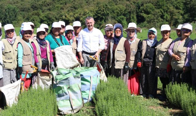 Büyükşehir’den kooperatiflere yüzde 75 hibeli tarım desteği