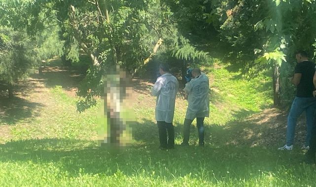 Çayırova D100 Karayolunda şüpheli ölüm