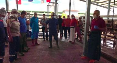İslami usullere uygun kurban kesimi için eğitim veriliyor
