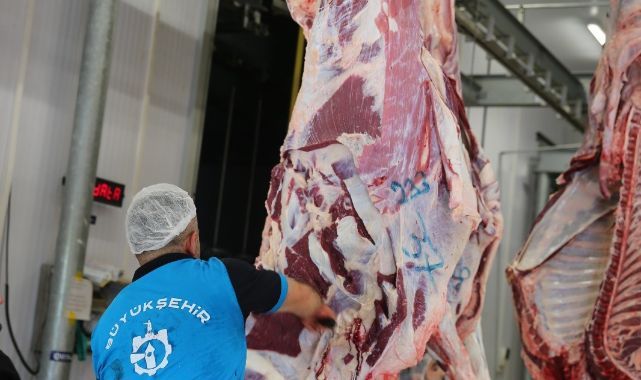 Modern kesimhanede dini hükümlere uygun kesim