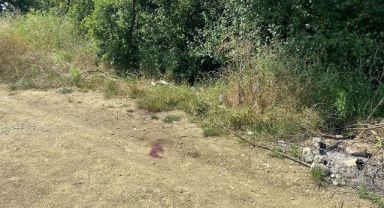 Pompalı tüfekle 5 el ateş edilerek öldürüldü