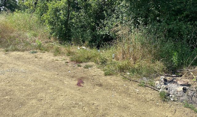 Pompalı tüfekle 5 el ateş edilerek öldürüldü