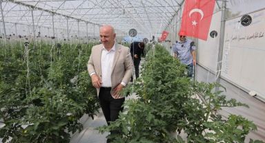 Türkiye'de ilk olan sistemin mahsulleri büyüdü