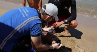 Denizin affı yok! 38 günde 8 kişi boğuldu