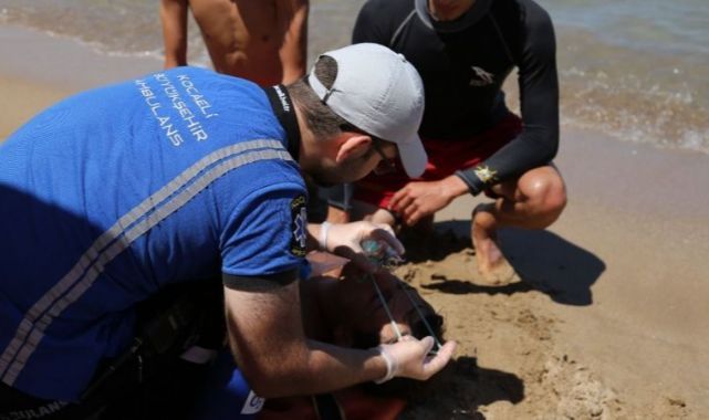 Denizin affı yok! 38 günde 8 kişi boğuldu