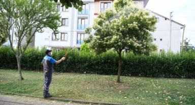Mesire alanları ve parklar ilaçlanıyor