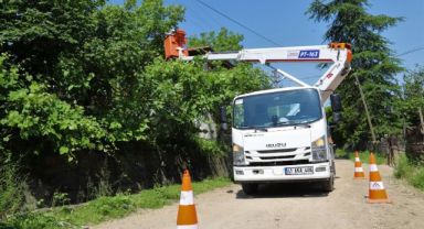 SEDAŞ, kesintisiz enerji için ağaçları buduyor