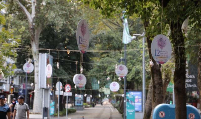Ağaçlar pişmaniye açtı, görenler şaştı kaldı