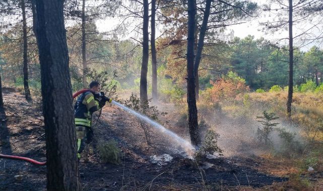 Çayırova'da orman yangını büyümeden kontrol edildi