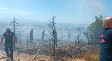 Gebze'de ağaçlık alanda çıkan yangında kundaklama iddiası
