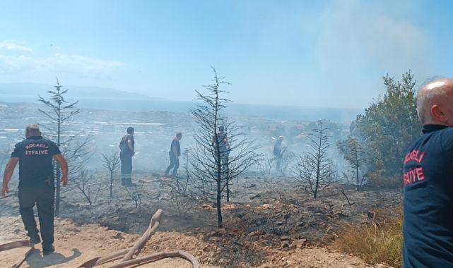 Gebze'de ağaçlık alanda çıkan yangında kundaklama iddiası