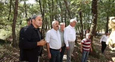 Gebze’ye yeni mesire alanları kazandırılacak