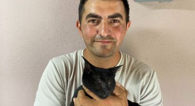 Hayatını sokak hayvanlarına adadı