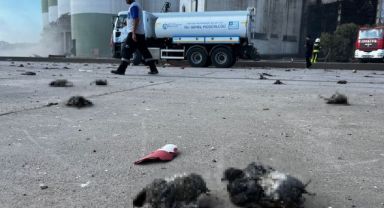 Kocaeli'deki patlamada kuşlar telef oldu