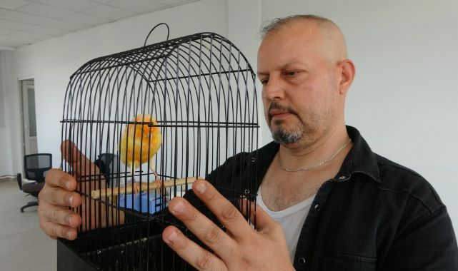 Molozların arasından kurtardığı kanaryalarıyla hayata tutundu