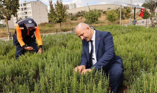 Büyükgöz’den “Şifa Kapısında” bitki hasadı