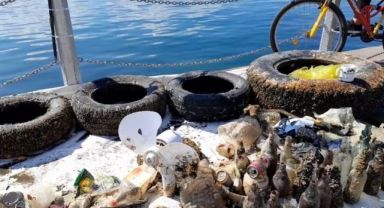 Dünya Temizlik Günü’nde 432 kilo atık toplandı