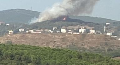 Gebze'de orman yangını gökyüzünü duman kapladı