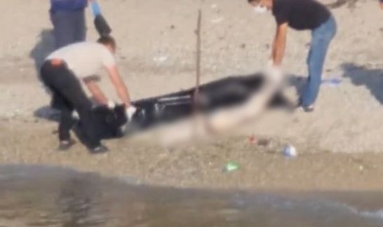 Kocaeli'de sahile kadın cesedi vurdu
