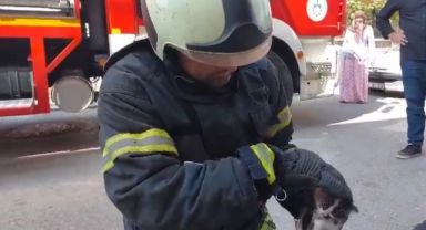 Lavaboya sıkışan yavru kedi kurtarıldı