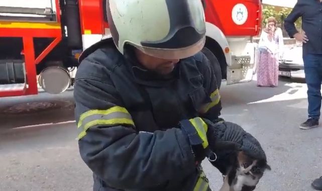 Lavaboya sıkışan yavru kedi kurtarıldı