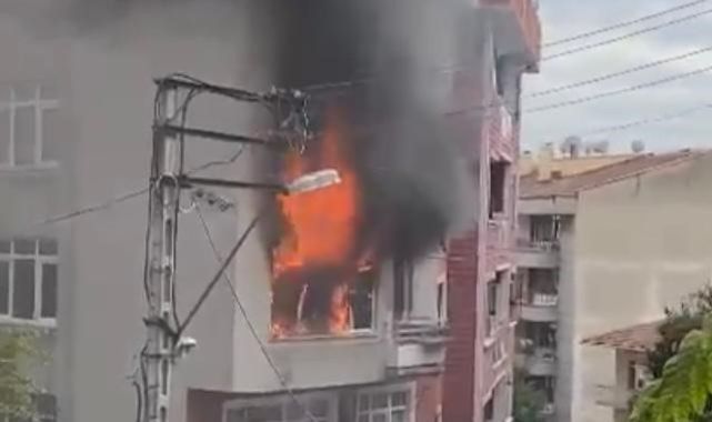 4 katlı binada yangın: 4 yavru kedi telef oldu