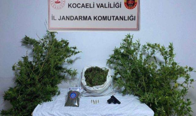 Kocaeli'de 3 ikamete uyuşturucu operasyonu