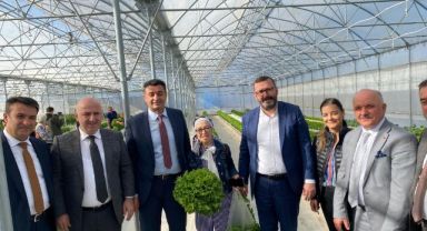 Türkiye'de ilk olan sistemde hasat şenliği