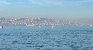Tersanede korku dolu anlar: Yüzer havuz battı
