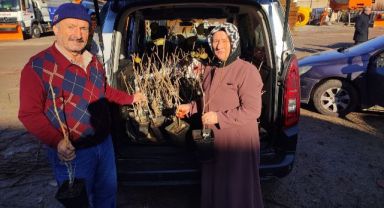 Yüzde 50 hibeli meyve fidanı dağıtımı başladı