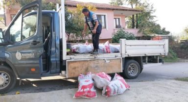 Başiskele'de budanan ağaçlar ihtiyaç sahiplerine yakacak oluyor