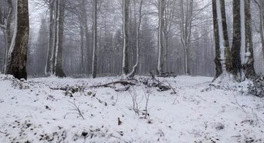 Kartepe'de yılın ilk kar yağışı başladı