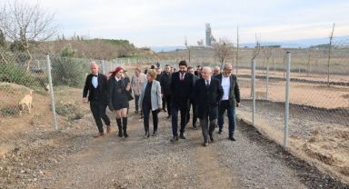 Sokak hayvanları Darıca'da güvenli barınağa kavuştu