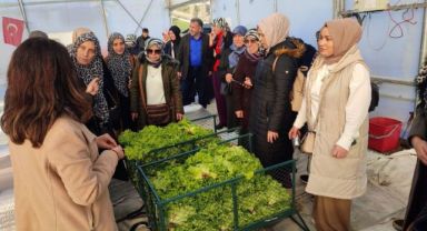 Topraksız tarım projesine kadın çiftçilerden yoğun ilgi