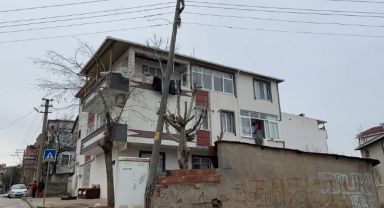 Beton elektrik direğini ağaç ayakta tutuyor
