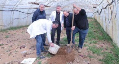 Gebze'de örtü altı üreticiye destek
