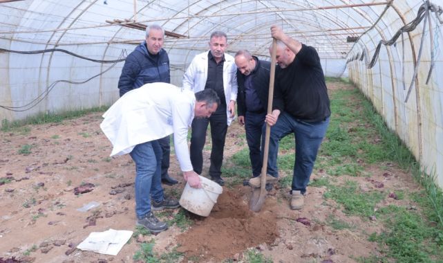 Gebze'de örtü altı üreticiye destek