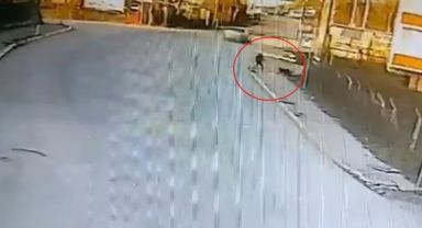 Okula giden çocuğa 2 köpek saldırdı