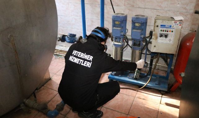 Okullarda ilaçlama çalışmaları tamamlandı